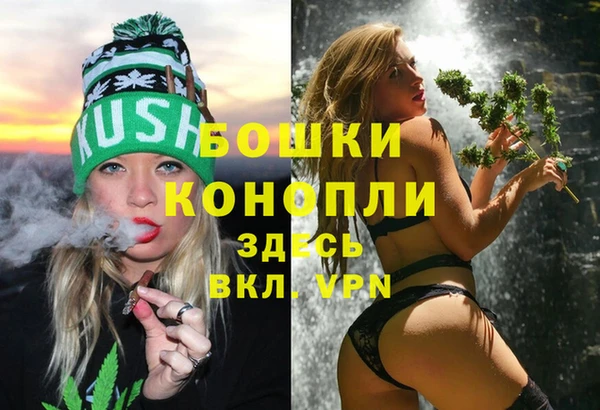ПСИЛОЦИБИНОВЫЕ ГРИБЫ Россошь